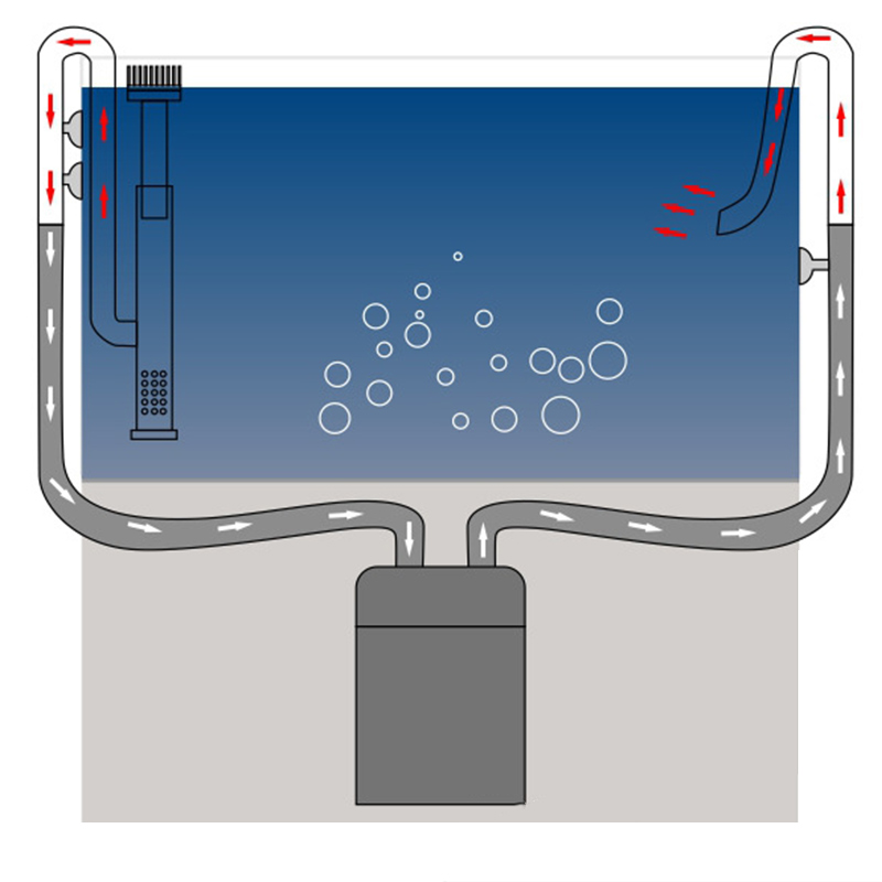 Nieuwe Aquarium Lelie Pijp Rvs - Aquael Filter Fzn recensie en prijs